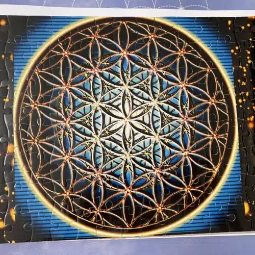 Puzzle floarea vietii (3)