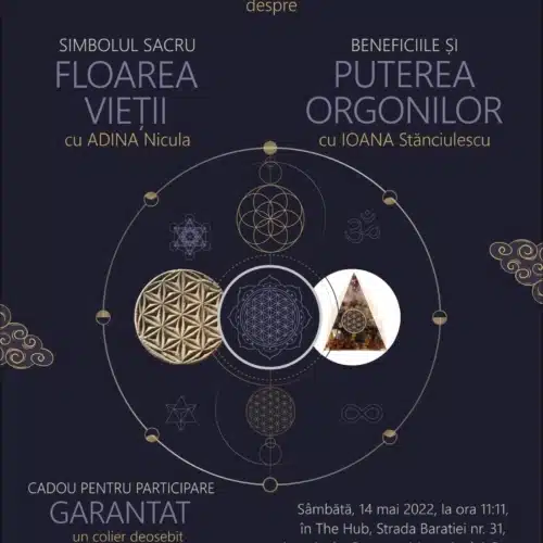 Atelier fv orgoni 9