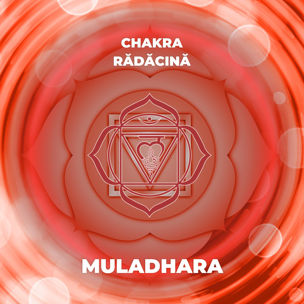 Chakra Radacina Muladhara