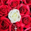 Colier fin cruce si cristale de zircon fundal trandafiri